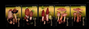 BELARUS Sc 264-8 NH ISSUE OF 1998 - MUSHROOMS - (OJ25) - Picture 1 of 1