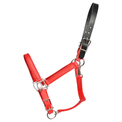 FERTIG - Pferdegröße rotes WEIDEHALFTER und LEINE aus BETA BIOTHANE - Bild 1 von 2