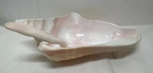 Vintage Conch Sea Shell Serving Bowl Dish With Spoon - Caribbean Handicrafts - Picture 1 of 9
