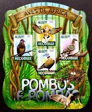 *FREE SHIP Mozambique Pigeon Of Africa 2015 Bird Egg Nest (ms) MNH *odd *unusual