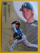 2013 BBM Card Ohtani Shohei RP43 Nippon Ham Fighters Rookie Japanese Excellent