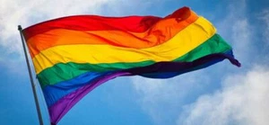 Rainbow Gay Pride Parade 3 x 5 ft Flag High Quality Printed Nylon FREE ship USA - Picture 1 of 6