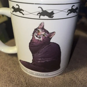 Katzenliebhaber limitiert Sammlerstück Katzen Tasse Tabby Sibirisch-Essinier Katze siehe Fotos - Bild 1 von 7