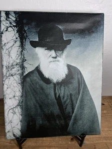 Charles Darwin Druck Julia Margaret Cameron Foto Reproduktion 20 x 15 Late Cent - Bild 1 von 9