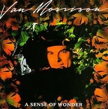 A Sense of Wonder von Morrison,Van | CD | Zustand akzeptabel - Bild 1 von 2