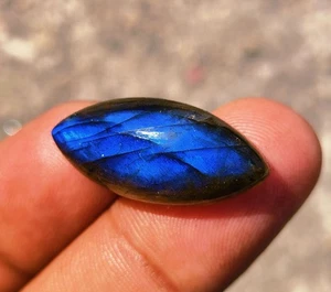 17 Carat Natural Labradorite Multi Fire Marquise Cabochon Loose Gemstone - Picture 1 of 5