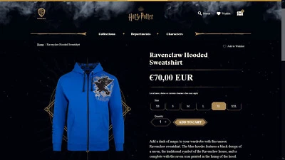 Sweat à capuche Harry Potter RAVENCLAW - Photo 1/3