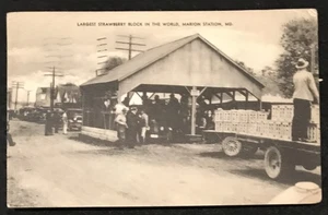 LARGEST STRAWBERRY BLOCK IN THE WORLD, MARION STATION, MD - Picture 1 of 2