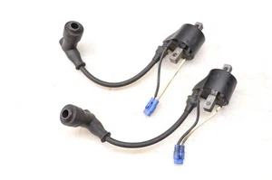 14 Arctic Cat ZR6000 El Tigre Ignition Coils 129" - Picture 1 of 3