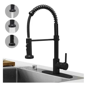 Lead-Free Matte Black Kitchen Sink Faucet with Easy-Clean Pull Down Sprayer - Picture 1 of 10