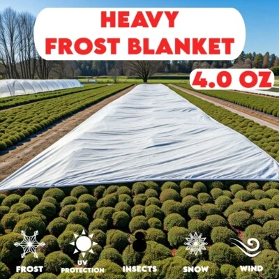 PAKGLOBAL XTRA RESISTENTE PAÑO DE ESCARCHA 4 oz - Protege las plantas de la congelación, las escarcha Foto 1 de 4