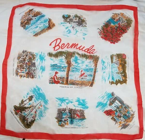Wonderful Vintage BERMUDA CHIFFON SCARF c. 1950's EVE MCPHEE tag - Picture 1 of 7
