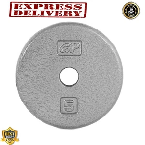 Cast Iron Weight Plate Standard 1 Inch 5 Pound Gray Solid Finish 5LB - Picture 1 of 14