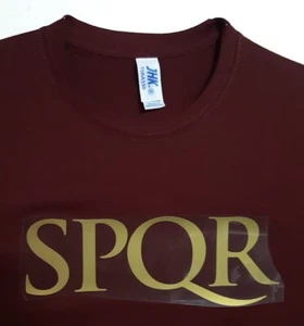 MAGLIA ROMA TIPO POLO, 1983-84, VINTAGE, FALCAO, CONTI, CAMPIONI D'ITALIA - Foto 1 di 8