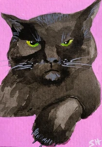 Original signed ACEO Collectors Art. Moody Cat Pink/Moody is as Moody does - Picture 1 of 3