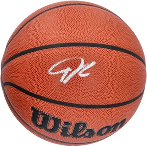 Giannis Antetokounmpo Milwaukee Bucks Signed Wilson Indoor/Outdoor Basketball - Picture 1 of 2