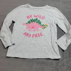 Old Navy Kids 5T Long Sleeve Gray Shirt With "Be Wild And Free" Pink Dinosaur... - Picture 1 of 12