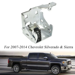 Fit For Chevrolet Silverado & Sierra 07-14 Door Hinge w/spring Front Left Lower - Picture 1 of 8