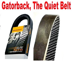 Serpentine Poly-V The Quiet Belt Gatorback CONTINENTAL ELITE 4070884 (No AC only - Foto 1 di 3