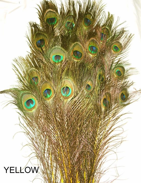 25 plumas de ojo de pavo real iridiscente teñidas de tallo 20-21" longitud 11 colores disponibles Foto 1 de 1