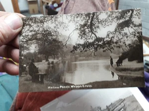 WHIPPS CROSS London Hollow Ponds RP Postkarte - Bild 1 von 2