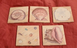 Piastrelle conchiglie 4" x 5" Made in USA Ocean Sea Marine - Foto 1 di 8