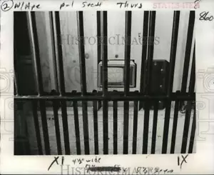 1973 Press Photo New Orleans Audubon Zoo - Gorilla Cage with TV Set - noa23486 - Picture 1 of 2