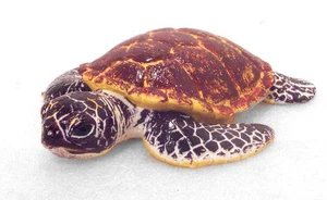 Sea Turtle Tortoise Reptile 5”x4” Terra Maison Battat Aquatic Marine Realistic - Picture 1 of 7