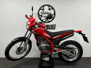 Beta Alp 200 2024 Montesa 4 ride GasGas Sherco Honda Green Lane - Picture 1 of 24