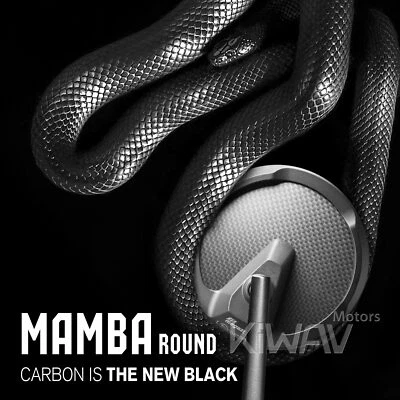 Carenado Espejos Redondos Mamba Real Mat Fibra de Carbono para Ducati 1199 Panigale 14' Foto 1 de 4