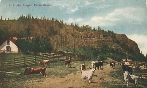 Postal de 1910 de Oregon escena de granja vacas ovejas caballos manos de granja vista aérea - Imagen 1 de 2