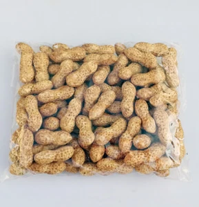 100 fake Peanut with mud artificial fruit Vegetable Foam Groundnut Home decor - Picture 1 of 5