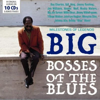 BIG BOSSES OF THE BLUES 10CD WALLET BOX SET-RAY CHARLES,BROWN,BB KING 10 CD NEU - Bild 1 von 2