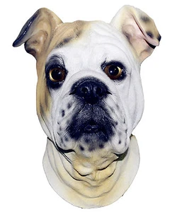 Bulldog Mask Dog Latex Overhead British Animal Fancy Dress Canine Halloween - Picture 1 of 1