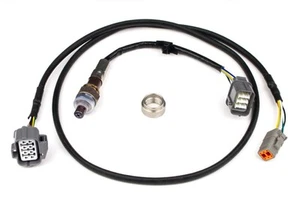 Haltech NTK Wideband Hardware Pack - Picture 1 of 3