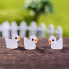 10PCS Mini Luminous Resin Ducks Glow in The Dark Miniature Ornament