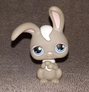 Bunny Rabbit #14 - Littlest Pet Shop - Hasbro LPS - Picture 1 of 2
