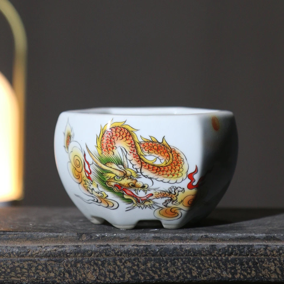 Maceta hexagonal pintada a mano sobremesa maceta planta estilo chino - Foto 1 de 4