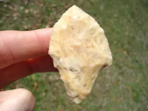 SUPER TRANSLUCENT AGATIZED CORAL PUTNAM DEEP SOUTH ARROWHEADS FLORIDA GEORGIA FL - Picture 1 of 5