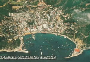 Postal aproximada 4x6, vista aérea de Avalon, isla Catalina Estados Unidos sin publicar - Imagen 1 de 2