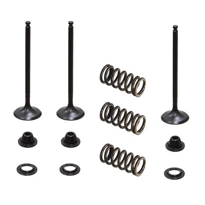 Psychic Intake Valve Kit for Yamaha YZ250F fits 2001-2013 & for GAS GAS EC250F - Image 1 of 2