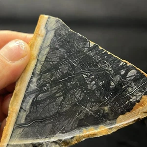 2 Picasso Marble Rough Slab for cabbing lapidary Rough - Picture 1 of 14