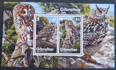 Gibraltar Miniature Sheet: 'Owls' 2020. Mint Never Hinged - Image 1 of 4