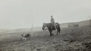 Man Riding Horse In Pasture With Collie Dog Leading B&W Photograph 2.75 x 4.5 - Picture 1 of 3