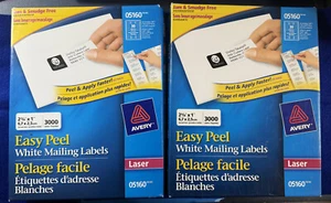 Avery Mailing Label 05160 Easy Peel - AVE05160 2 Boxes, 6000 labels, 2 5/8x1 in - Bild 1 von 11
