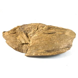 312 g Sumatera Indonesia Real Genuine Agarwood Aquilaria Oudh Decoration - Picture 1 of 7