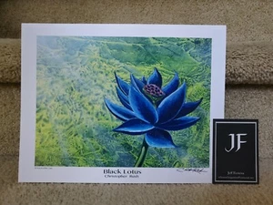 Christopher Rush Black Lotus Print 8.5 × 11 inches Comes with COA. - Picture 1 of 1