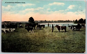 Postcard Montana A Prosperous Western Farm Sheep Horses Cattle 1912 - Picture 1 of 2