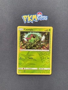 Pokemon Juego de Cartas Coleccionables Oruga Destinos Ocultos 1/68 Holograma Inverso LP. - Imagen 1 de 3