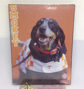 SMOKEY TENNESSEE MASCOT UT DOG FOOTBALL PLAQUE PICTURE  NEW 4.5 X 6 - Picture 1 of 12